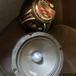 DS18 Pro Neo 6 - 6.5 Speaker Pair 