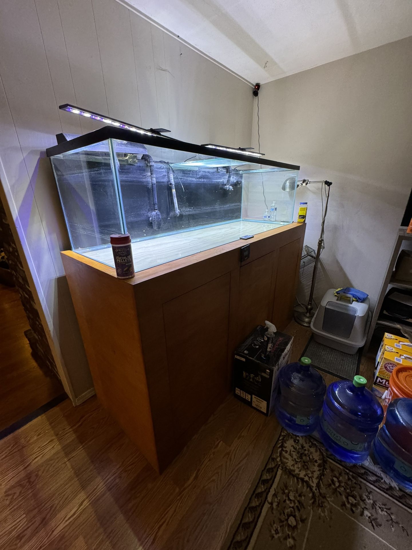 Full Aquarium And Fixtures 