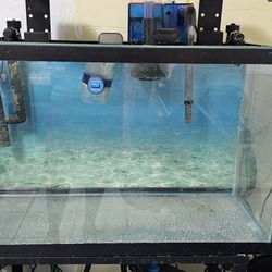 40 Gallons Fish Tank 