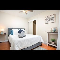 2-Queen Beds Set With Mattresses 