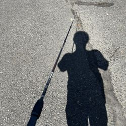 Abu Garcia Black Max Fishing Rod