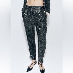 Zara NWT Sequin Pants ZW Collection size Small
