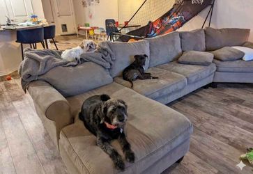 Sofa $280$