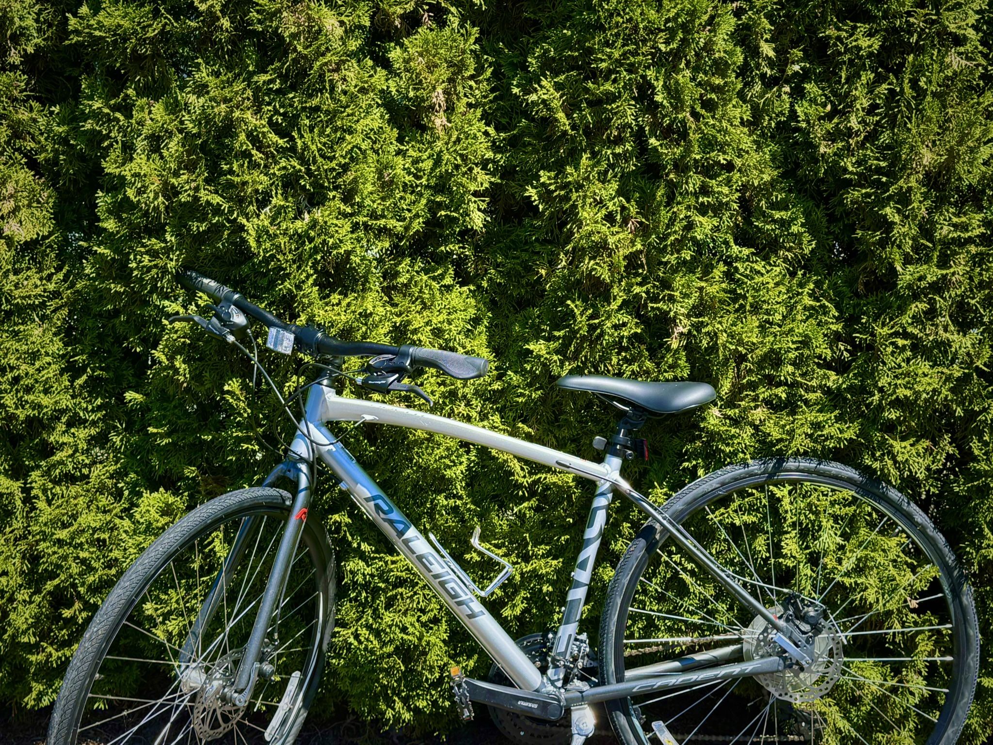 Bike Raleigh, Cadent Hybrid, Adult Small