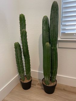 Tall Artificial Cactus Plants Set of 2