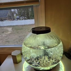 Fish Tank 