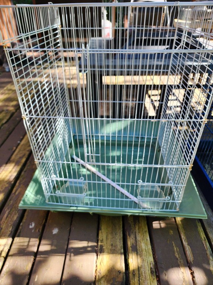 Bird Cages