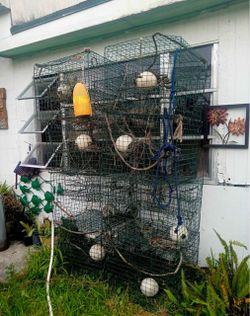 Crab traps