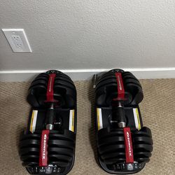 Bowflex SelectTech 552 Dumbbells 💪