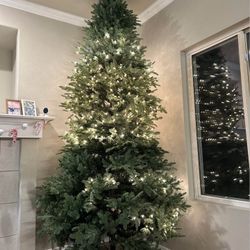 Balsam Hill Christmas Tree 