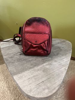 Cute Bag For Her - Xmas Gift - Pack Purse Coach / Steve Madden / BEBE