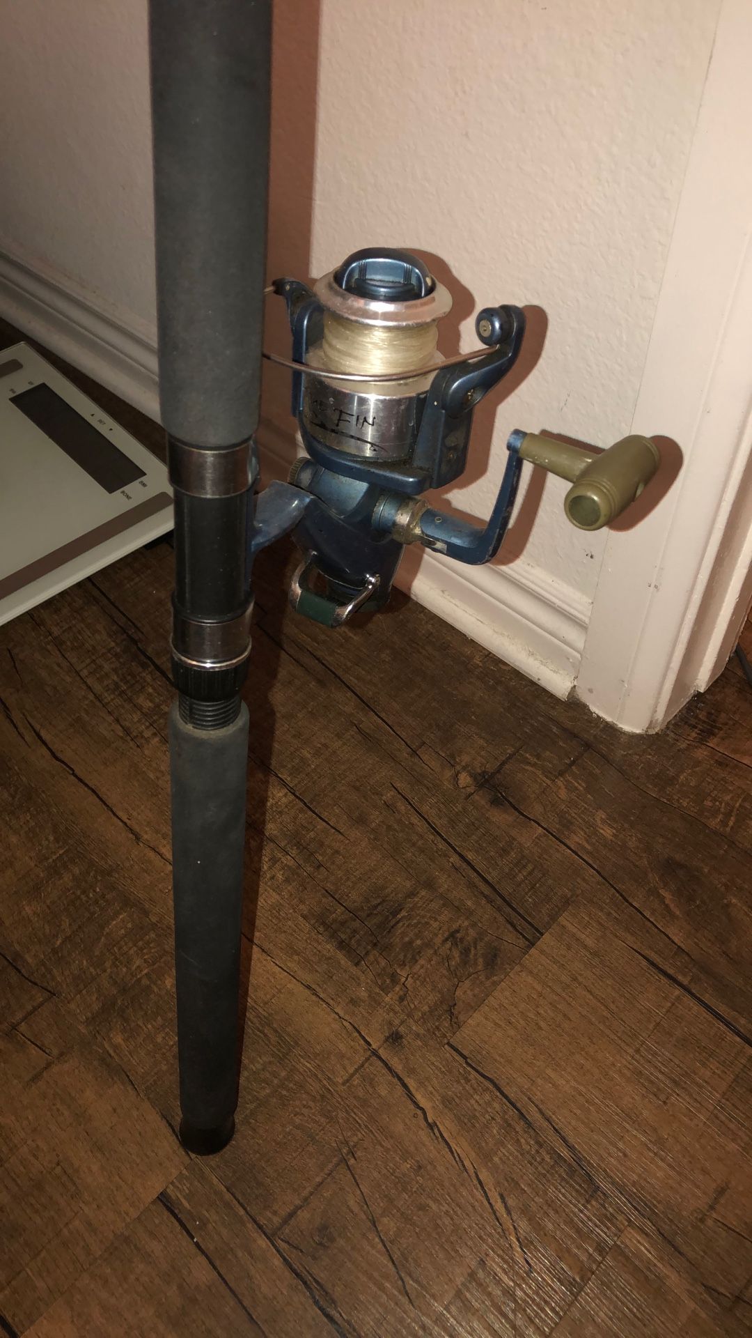 Calypso Blue Fin Rod+Reel