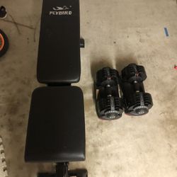 Weights and Bench 