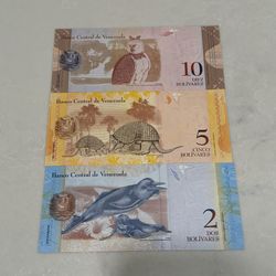 Venezuelan Currency - Mint Condition