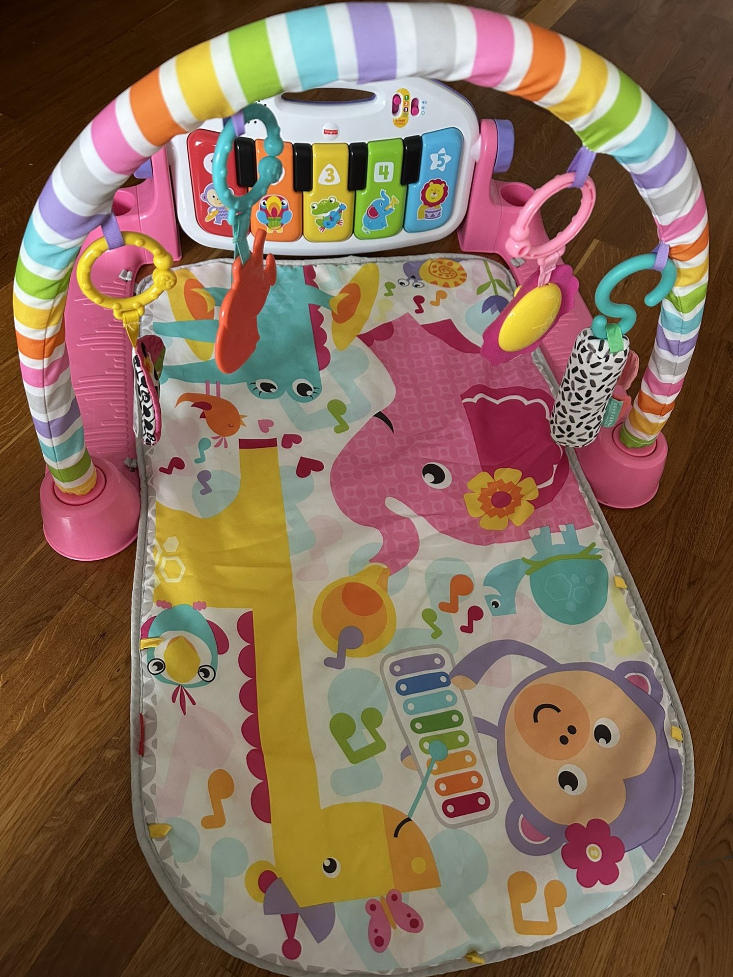 Fisher-Price Baby Playmat