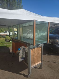 Fish Tank 240 gallon