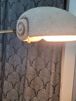 Floor lamp unique brass gold seashell