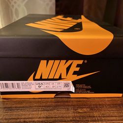 Jordan 1 Pollen