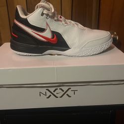 ZM LeBron NXXT GEN AMPD