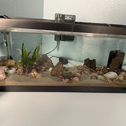 20g Long Aquarium Full Setup ( No Livestock)