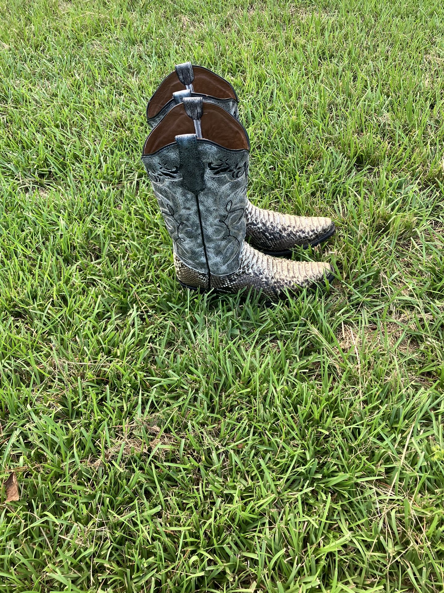 Snake Skin Western Boots 