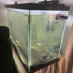 Fish Tank With Accessories 