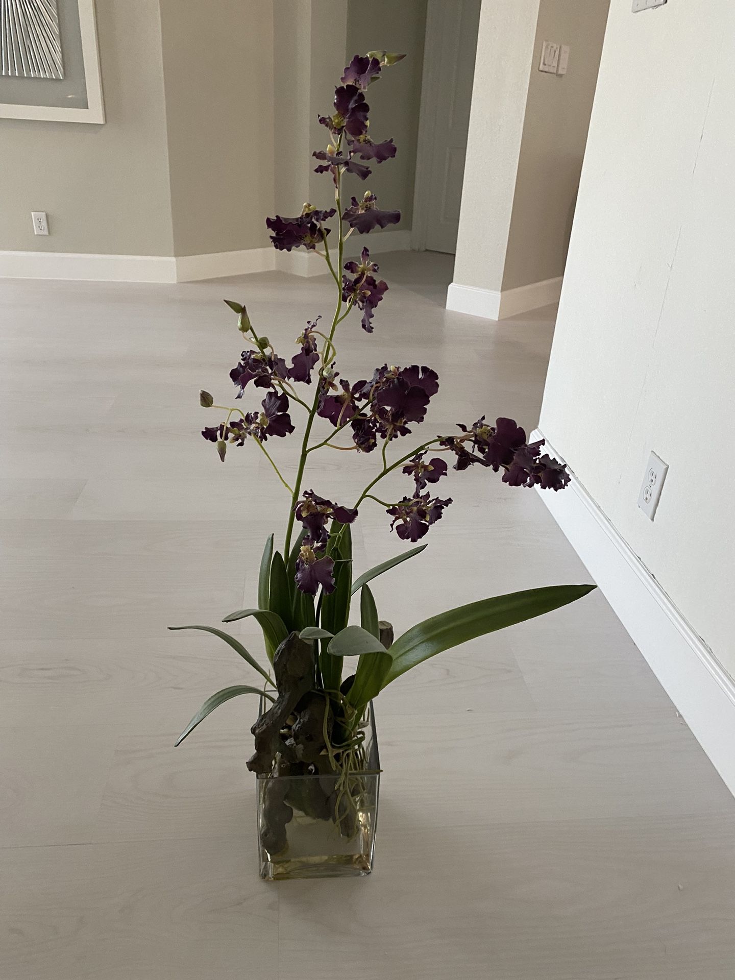 Z Gallery Flowers