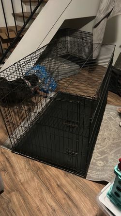 Large dog kennel