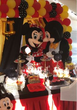 Mrs and Mr Mouse Mascot Characters
