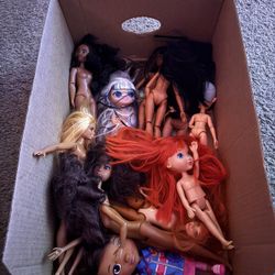 12 Dolls/barbies 