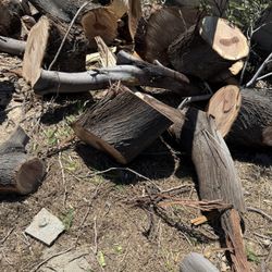 Free Firewood . 