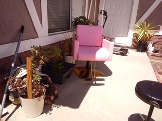 Barber Pink Color