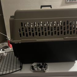 Petmate Sky Kennel - For Air and Travel, Airline Compliant Dog Crate for Pets up 15-30 lbs, Heavy Duty Dog Kennel, Made in the USA- 28 Inches