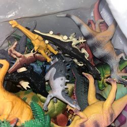 Dinosaur bday decor