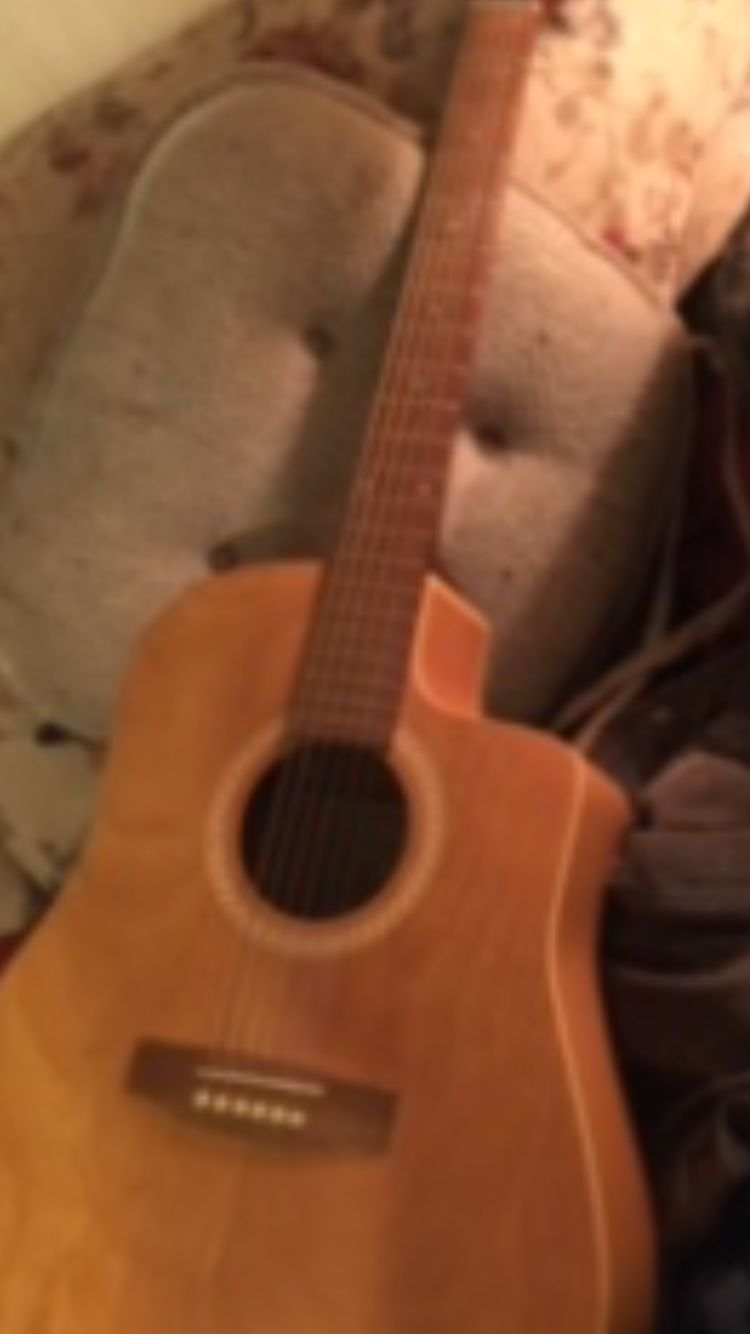 Art And Luthrie Guitar With Case