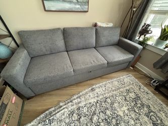 Pull out sleeper sofa