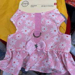 Medium Sized Dog Outfits