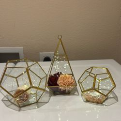 Gold terrariums 