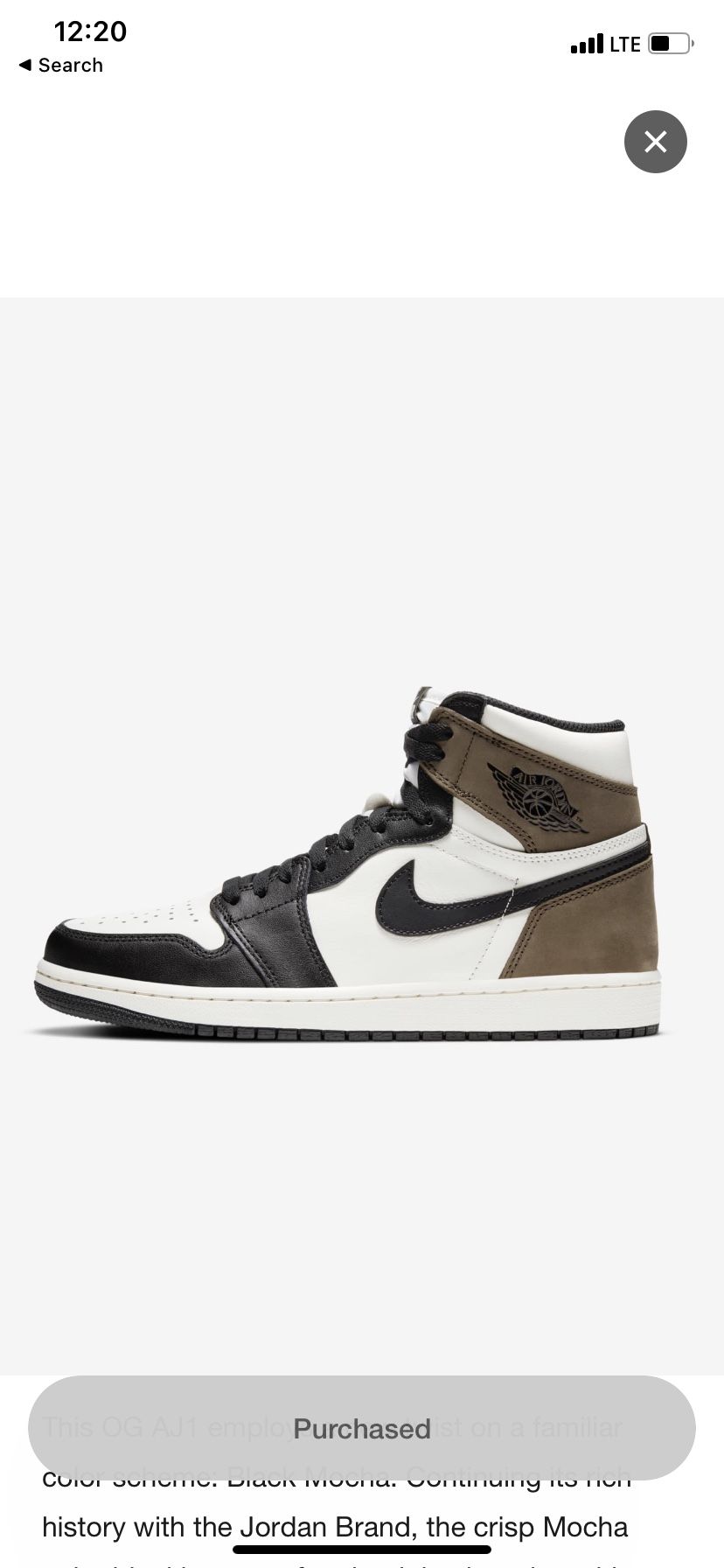 Jordan 1 Black Mocha