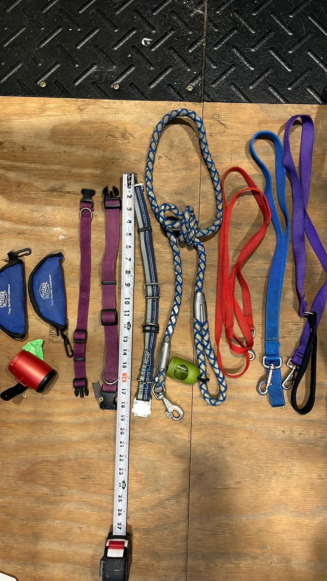 Dog Leashes, Collars, Travel Bowls