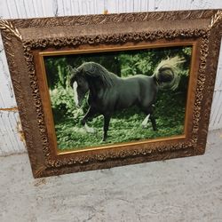 Picture Frame 