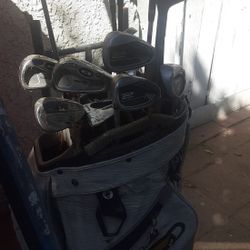 Female Golf Clubs 