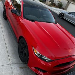 2015 Mustang Rebuild Salvage 