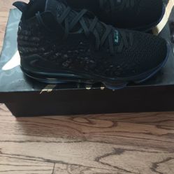 Nike Shoes LeBron James 