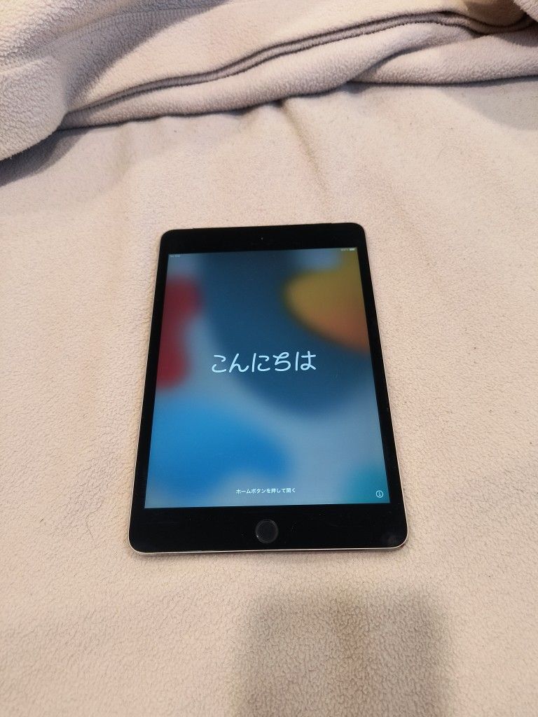 iPad Mini