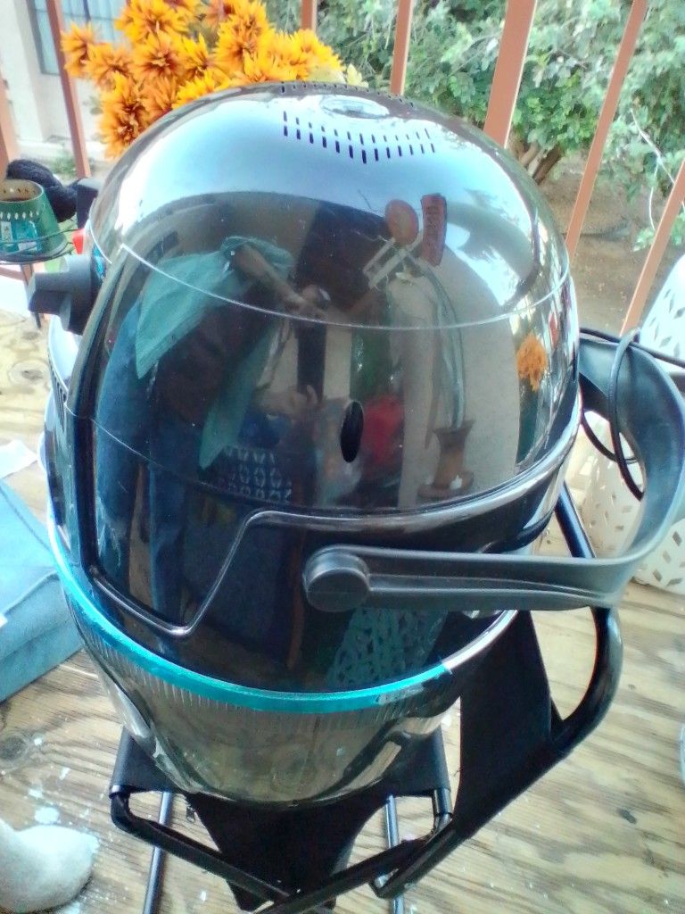 Professional Hair Dryer