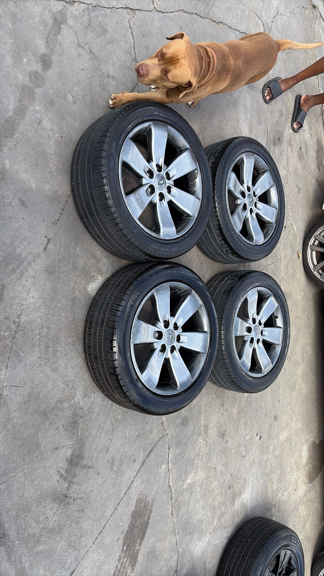 F-150 or Expedition rims