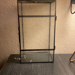 Glass Insect Enclosure/Terrarium 