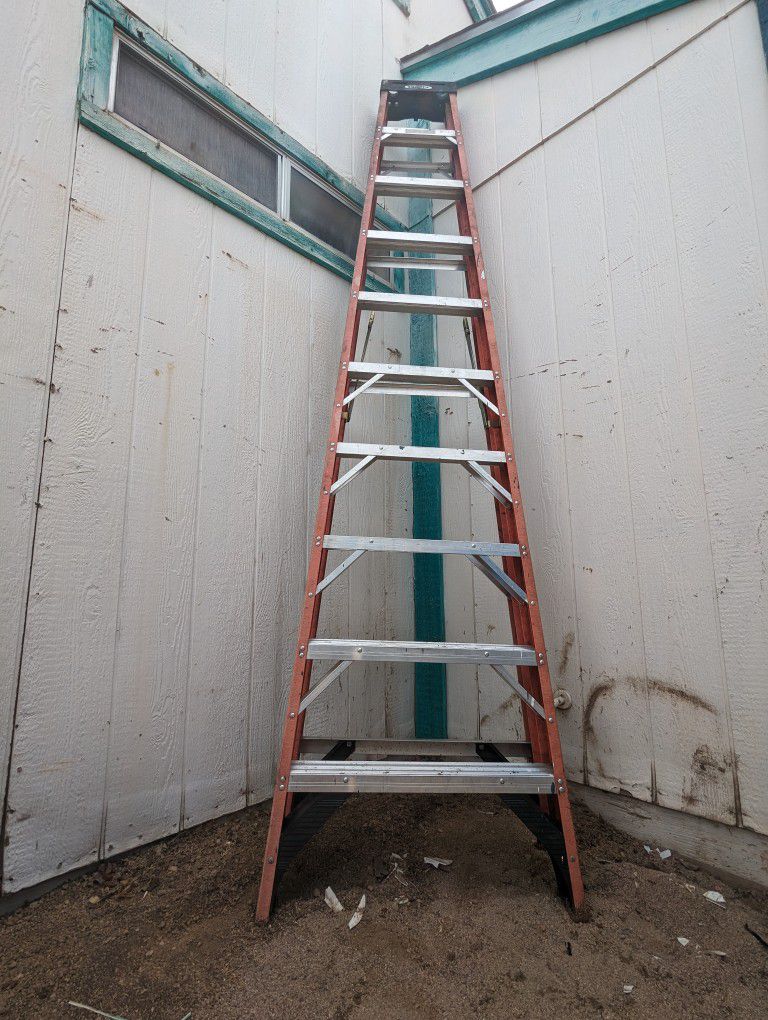 Werner 10 Ft Fiberglass Ladder (300lb Capacity)