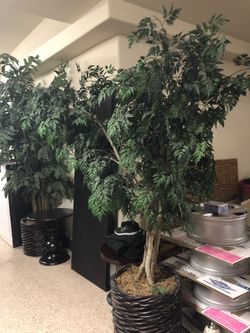 2 large fake plants